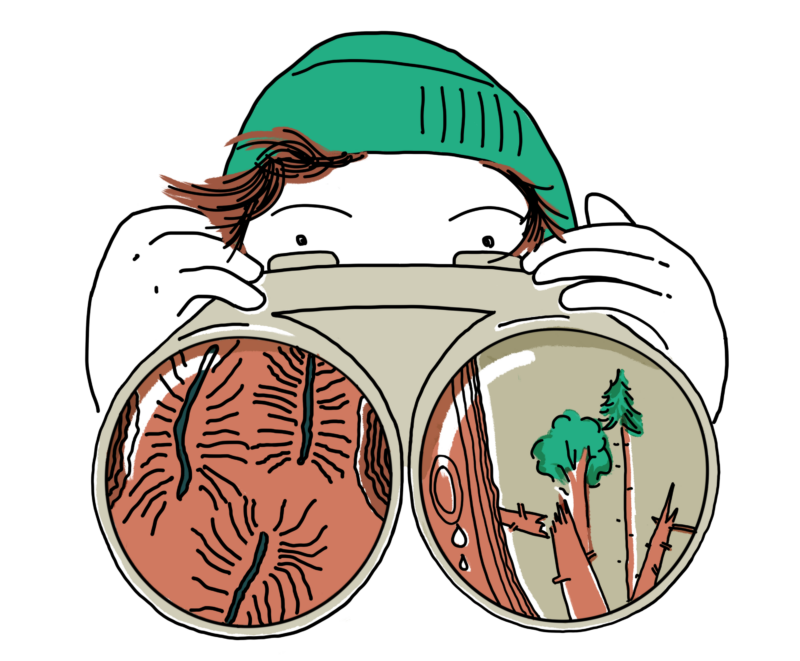 Illustration: Überblick über Schäden